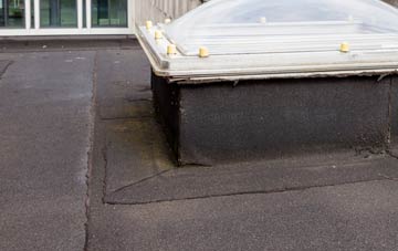 disadvantages of Birdbrook flat roofs