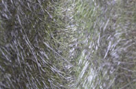 Birdbrook fibreglass roof work